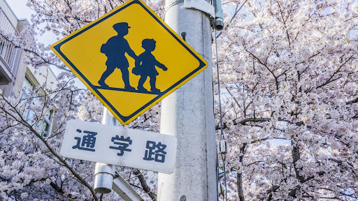 通学路の標識と桜