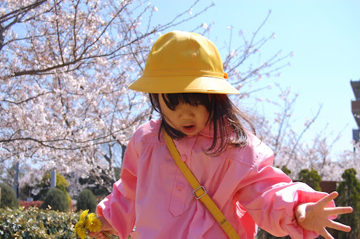 桜並木を歩く幼稚園の女の子
