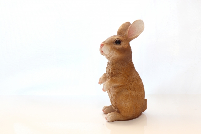 3月3日はウサギの日 身近な動物について学んでみよう ママ賃貸コラム