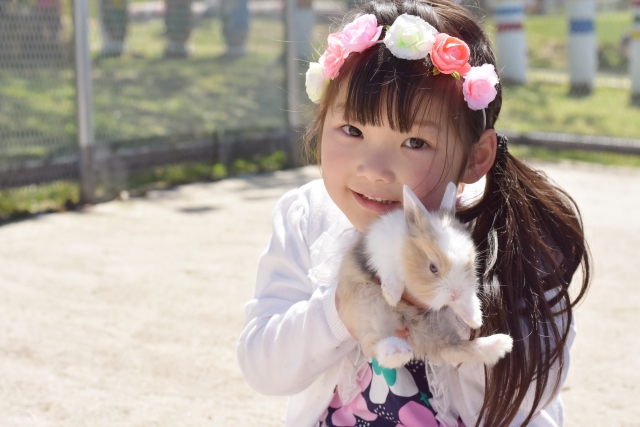 賃貸でうさぎを飼いたい 安心して飼うための対策と注意点 ママ賃貸コラム ママのための賃貸情報サイト