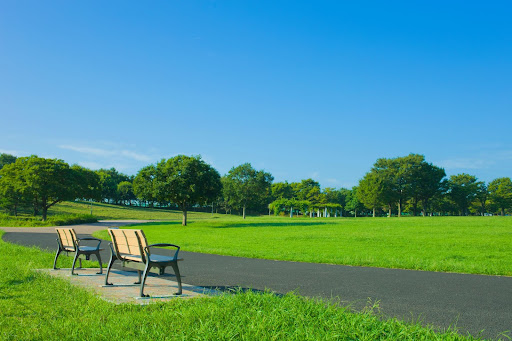 広い公園