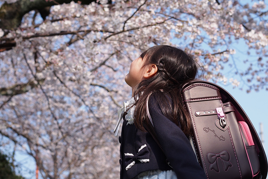 桜を見あげるランドセルの少女