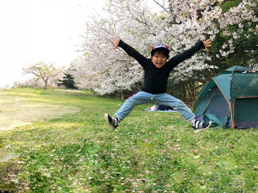 桜の下でキャンプを楽しむ男の子
