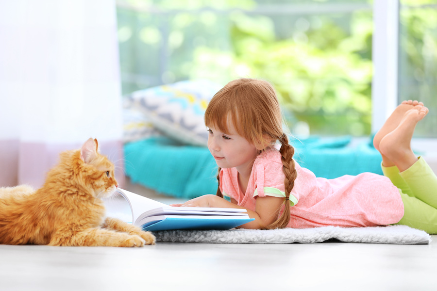 猫と子供が絵本を見ている写真