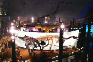 恐竜博物館の展示写真