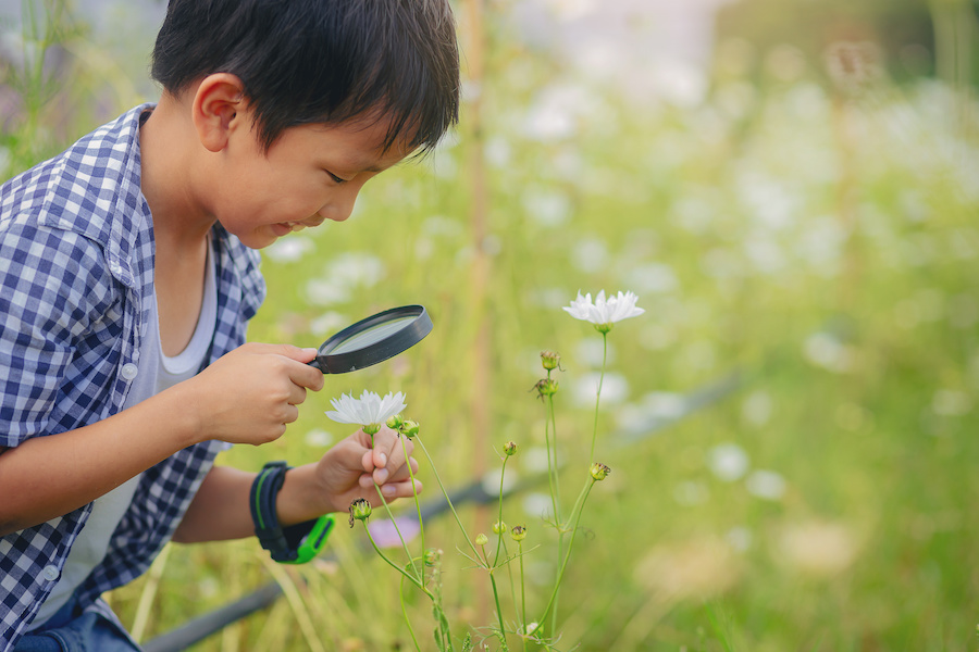 虫眼鏡で植物を見る少年