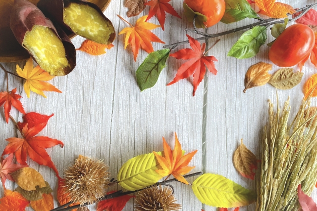 【秋レシピまとめ】食欲の秋を楽しもう！旬の食材を使った簡単レシピ集