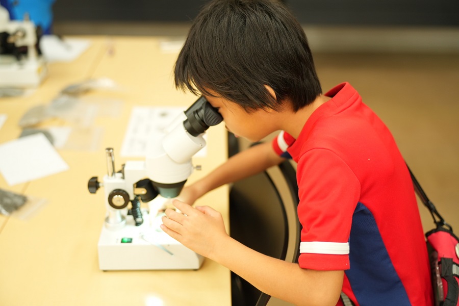 顕微鏡を除く少年