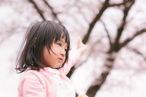 桜の木を指さす女の子