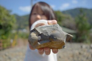 「白亜紀時代の化石採集体験「化石ディグ」、来場者3,000名突破！」に関連するイメージ